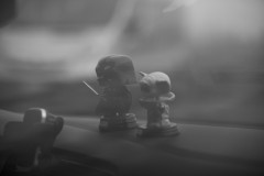 DSCF5274