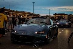IMG_2950