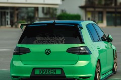 KRAKEN1-39